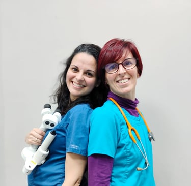 clínica oftalmológica veterinaria