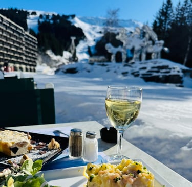 Panoramic view over the montains