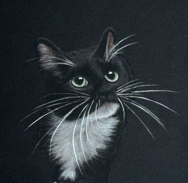Soft pastel drawing of a Tuxedo black and white kitten