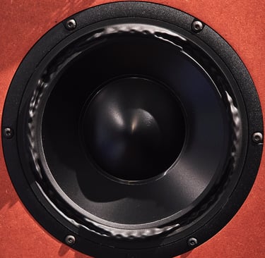 Present Day Production Studio monitor Purifi PTT8 woofer