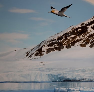 Un oiseau volant au-dessus d'un glacier de l'arctique, des montagnes en arrière plan