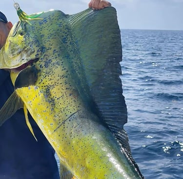 a man holding a fish fish on a boat