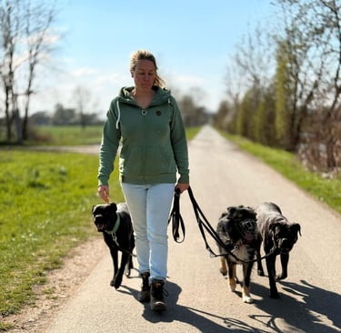 Katja beim entspannten Spaziergang mit 3 Hunden