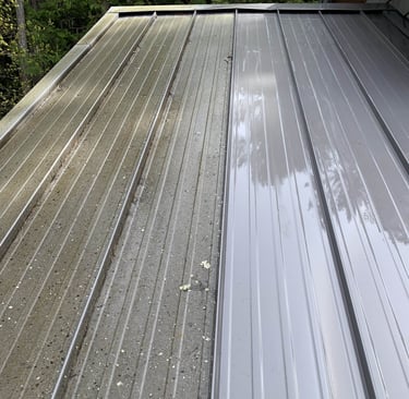 Roof Cleaning Powell River Qathet