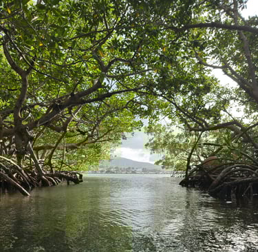 Caraibes Passiflora voyage france guadeloupe