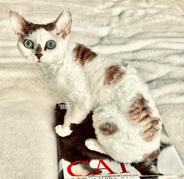 Dominika sitting on top of a book