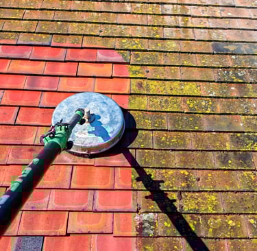 Cambridge roof cleaning