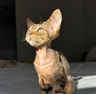Lyubov sitting on a bed