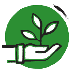 icoon in groen en zwart-wit van een hand met een plantje
