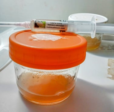 Liquid culture syringe resting on top of a no-pour agar jar, ready for inoculation in a gourmet mush