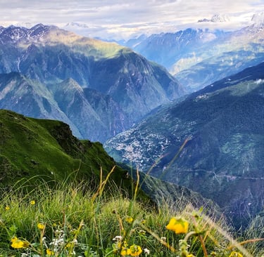Mountain valley view with wildflowers in the foreground and distant sunlit ridge
