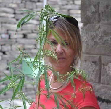 The people and places of Himachal Pradesh, India
