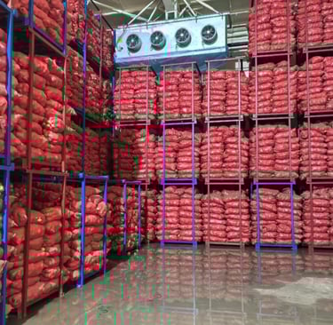potato cold storage room with sprout control system