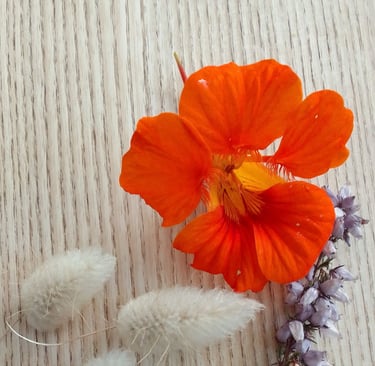 Réflexologie plantaire, palmaire à Laillé