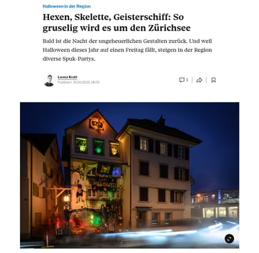 Artikel im Tagesanzeiger Online 2025