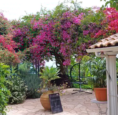 Notos Beach Korfu Villa Olivia Pentati