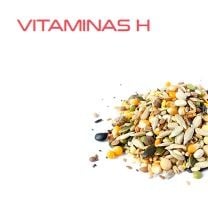 Vitaminas H