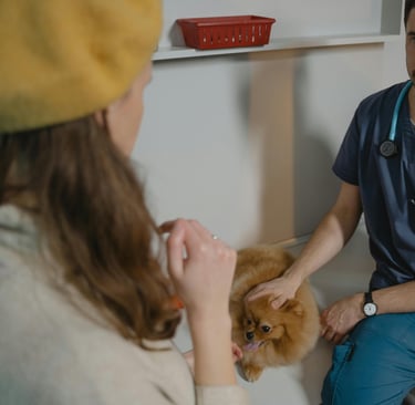 The Clinic Owner’s Guide to Building a Magnetic Brand Online