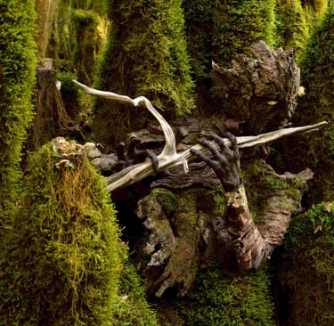 Masque d’écorce photographié en forêt, œuvre de Samuel Chazot, artiste plasticien