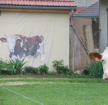 Une vache regarde une autre vache en peinture sur une façade