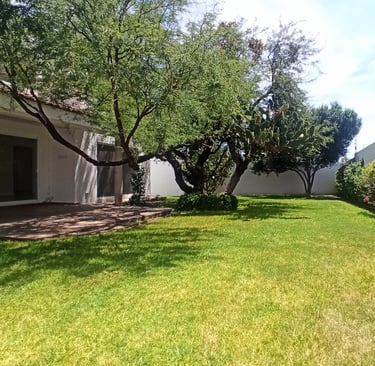jardin con árboles frondosos y arbustos de casa en juriquilla
