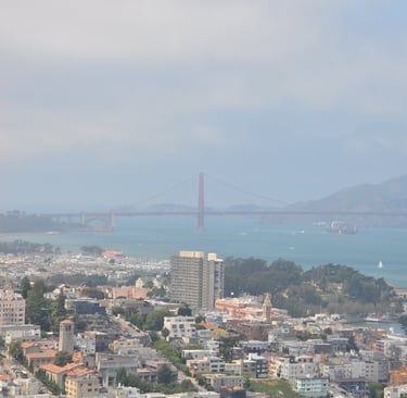a view of the golden gate bridge spanning the width of a city