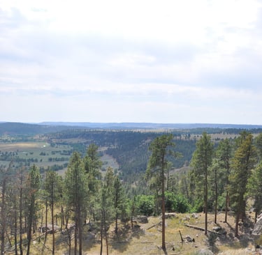 devils tower surrounding prairie wyoming