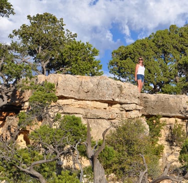 a woman standing on a cliff top with trees in the background