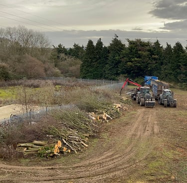 site being cleared by tractors
