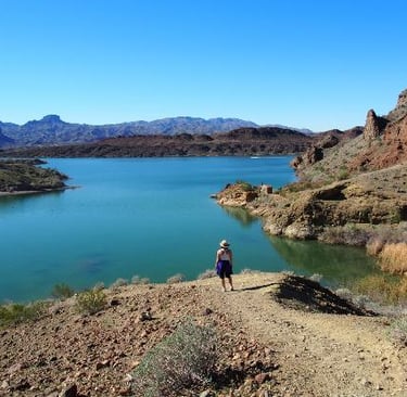 things to do at london bridge lake havasu