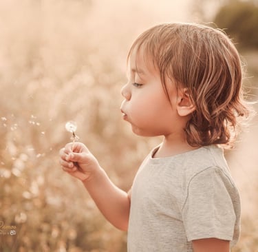 niño soplando un diente de león