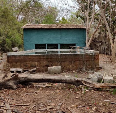 "Bird hide with drinking pool in Gambia, perfect spot for bird photography and birdwatching tours in