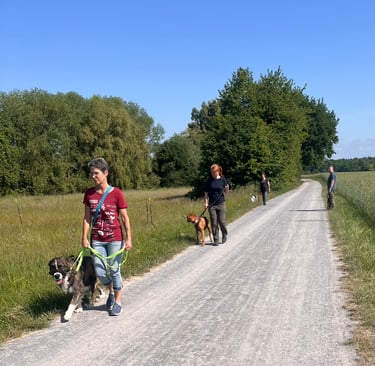 Social walk mit Marissa von RIKA Hundetraining in Wiesental
