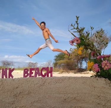 Tour harian ke pantai pink lombok