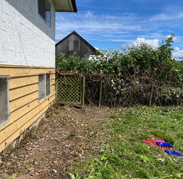 side of a house and gate now free of blackberries