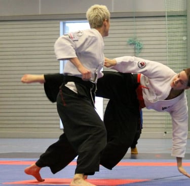 Taido para Perda de Peso: O Guia Definitivo da Arte Marcial Japonesa que Emagrece, Define o Corpo e