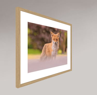 Tirage Fine Art papier coton mat Photo Rag — exemple