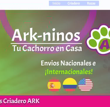 Desarrollo Web De Veterinarias