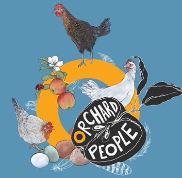 Orchard Eggs Illustration featuring hand-drawn depictions of our fantastic flock of heritage hens.