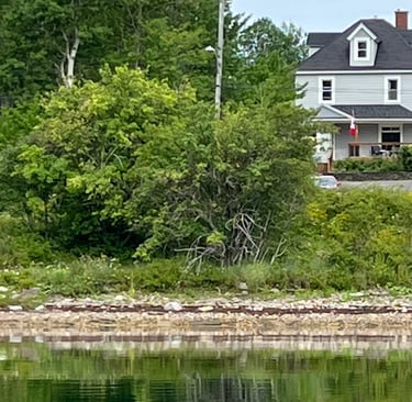 Balmor Landing, beachfront Airbnb in North Sydney, Cape Breton. Best place to stay in Cape Breton.