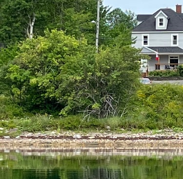 Balmor Landing, beachfront Airbnb in North Sydney, Cape Breton. Best place to stay in Cape Breton.