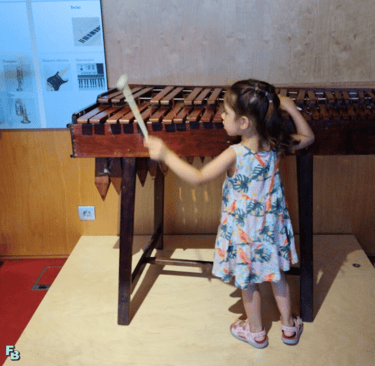 a young girl playing with a musical instrument