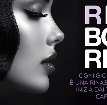 faipa reborn seta lino