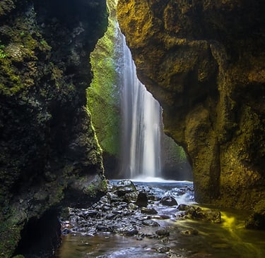 Nauthúsagil – A Mossy Wonderland