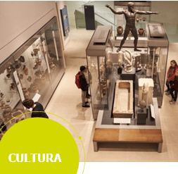 Cartelería Digital para Museos