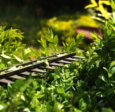 Seasonal Hedge cutting Grounds maintenance work in Bridgwater Somerset UK