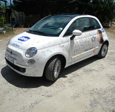 car wrapping decorazione veicolo fiat 500