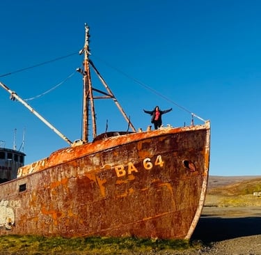The Garðar BA 64