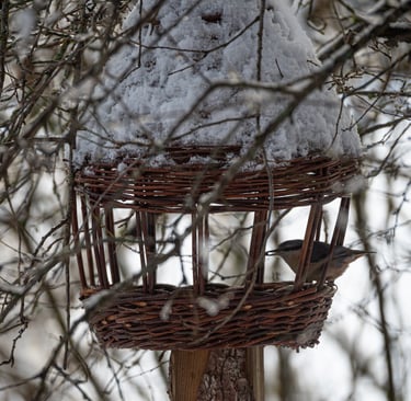 mangeoire-en-osier-sauvage-avec-une-sittelle-torchepot