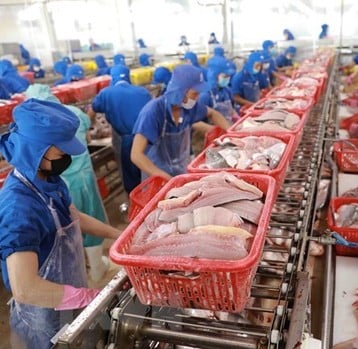 vietnamese crab supplier